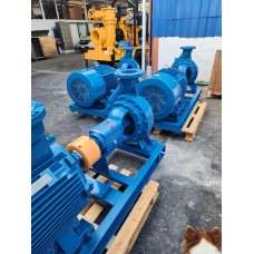 ปั๊มหอยโข่ง 10 นิ้ว End Suction pump