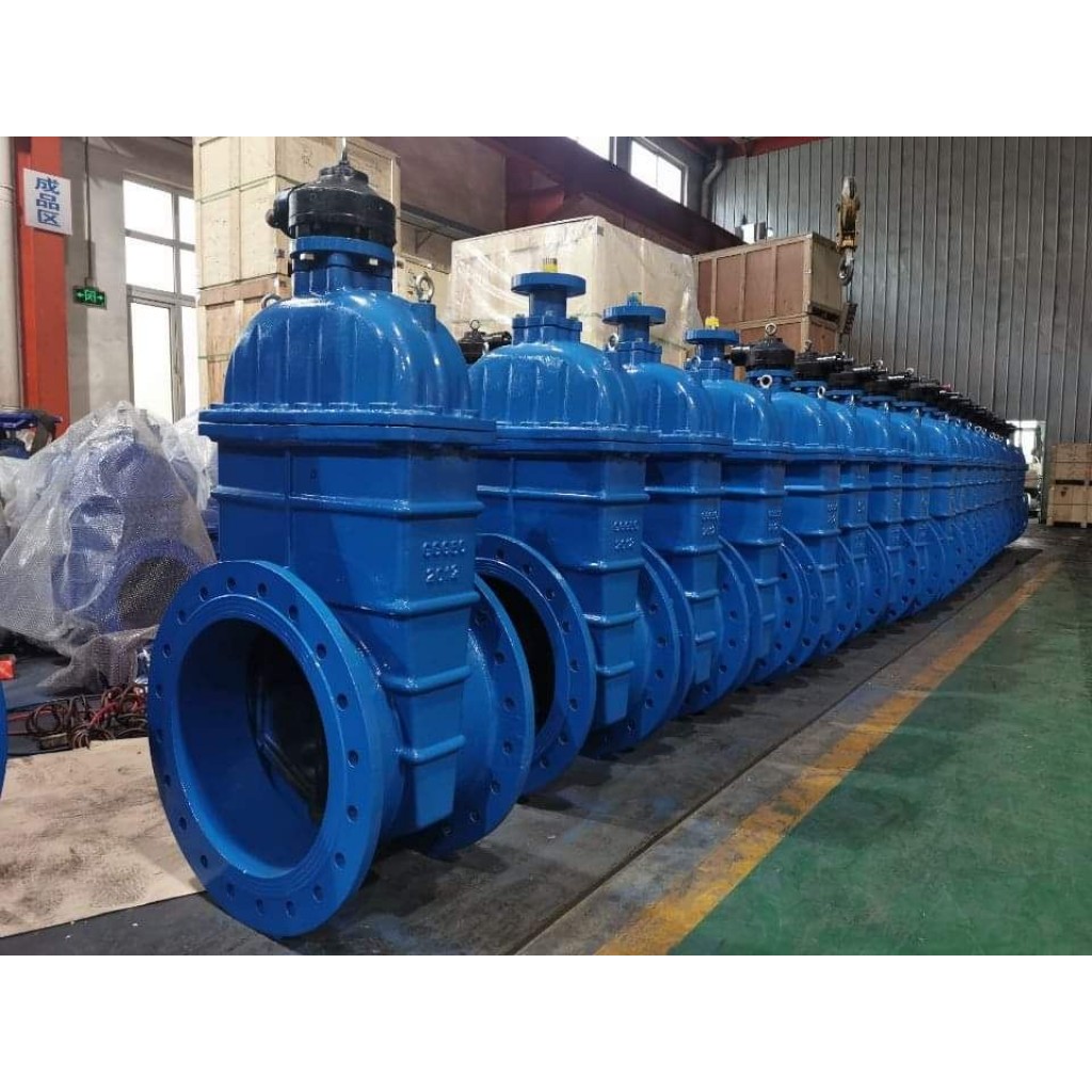 ประตูน้ำเหล็กหล่อลิ้นยก Gate Valve