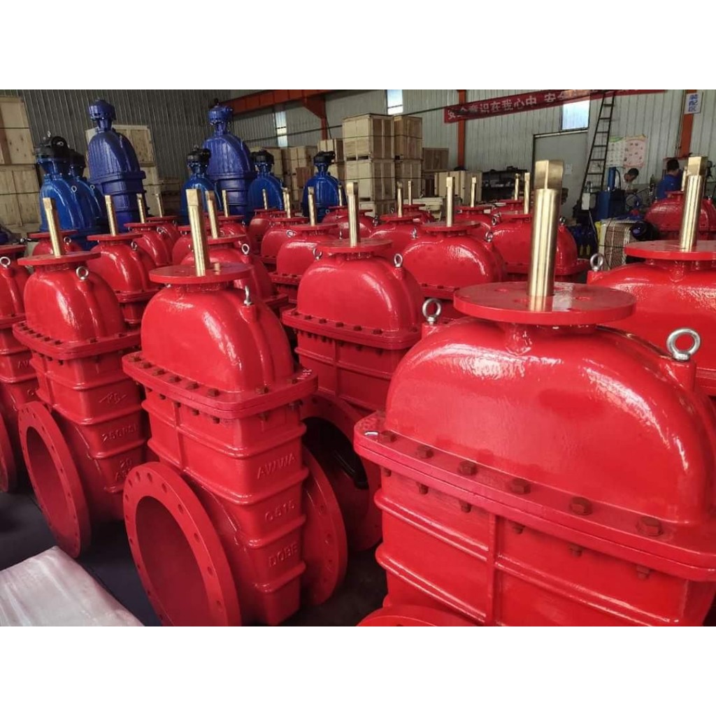 ประตูน้ำเหล็กหล่อลิ้นยก Gate Valve