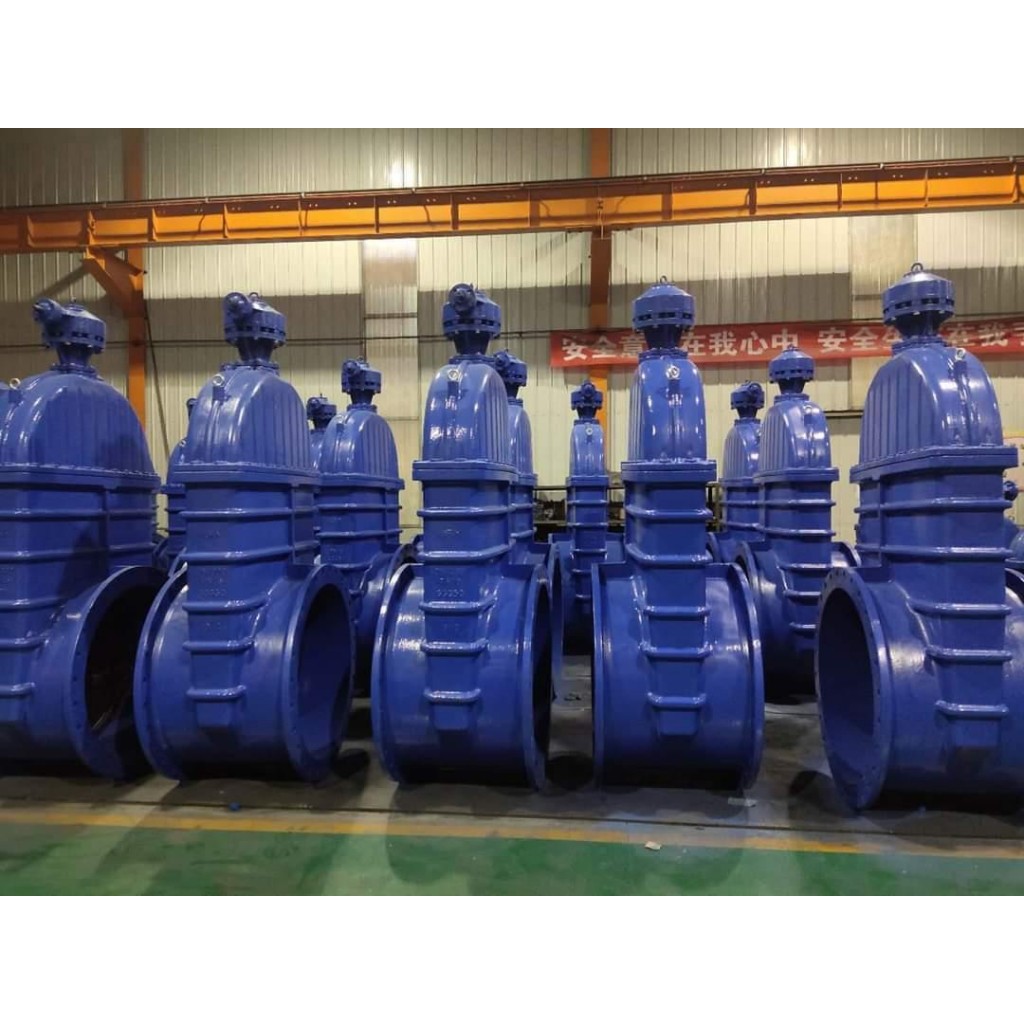 ประตูน้ำเหล็กหล่อลิ้นยก Gate Valve