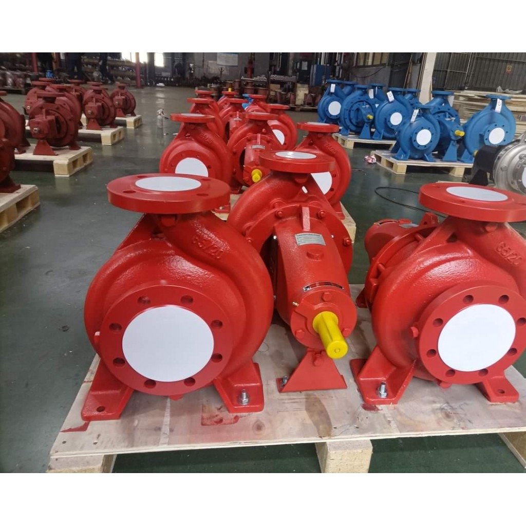 ปั๊มน้ำมอเตอร์ไฟฟ้า 8 นิ้ว End Suction pump