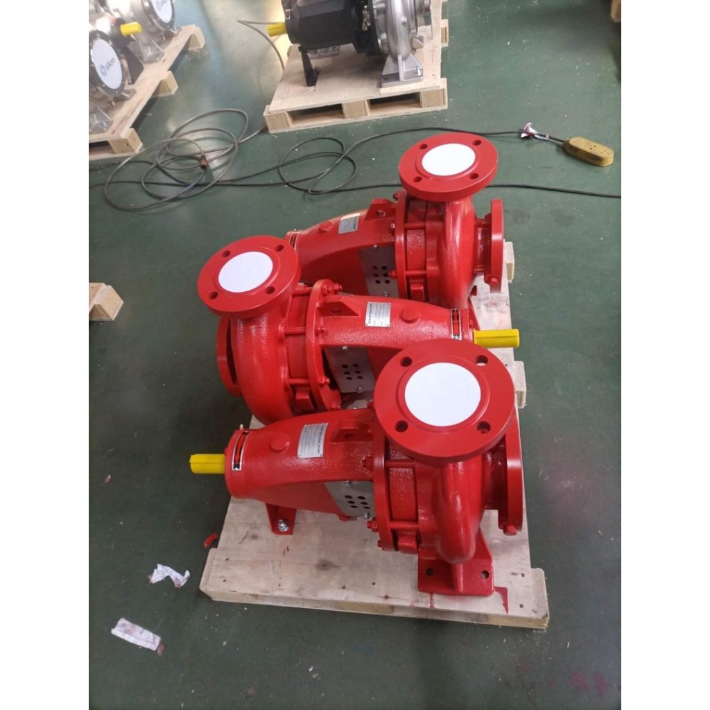 ปั๊มน้ำมอเตอร์ไฟฟ้า 8 นิ้ว End Suction pump